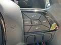 Fiat Panda Pandina 1.0 GSE Hybrid, Klima, 5 Sitzer, ESP, eFH Weiß - thumbnail 11
