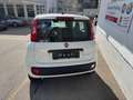 Fiat Panda Pandina 1.0 GSE Hybrid, Klima, 5 Sitzer, ESP, eFH Weiß - thumbnail 5