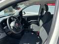 Fiat Panda Pandina 1.0 GSE Hybrid, Klima, 5 Sitzer, ESP, eFH Weiß - thumbnail 7