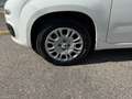 Fiat Panda Pandina 1.0 GSE Hybrid, Klima, 5 Sitzer, ESP, eFH Weiß - thumbnail 6
