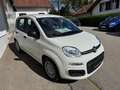 Fiat Panda Pandina 1.0 GSE Hybrid, Klima, 5 Sitzer, ESP, eFH Weiß - thumbnail 3