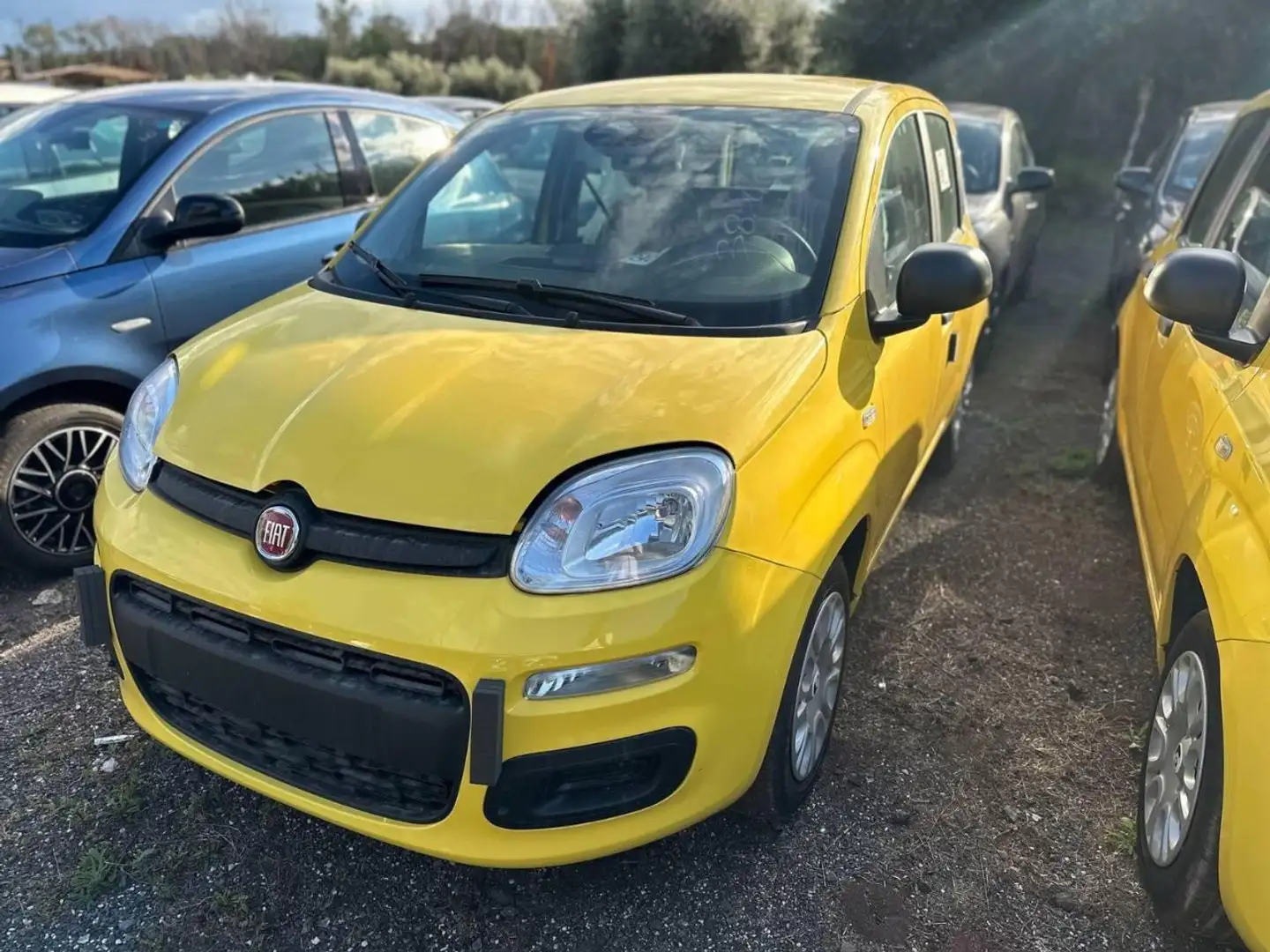 Fiat Panda 1.0 FireFly Hybrid Pop Gelb - 1