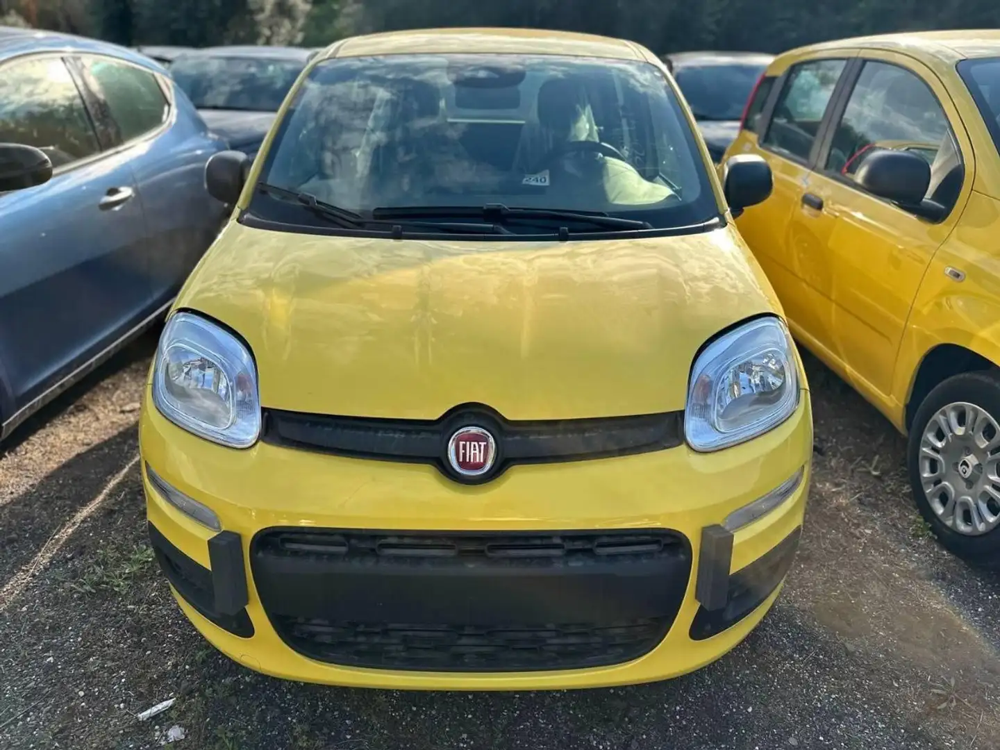 Fiat Panda 1.0 FireFly Hybrid Pop Gelb - 2
