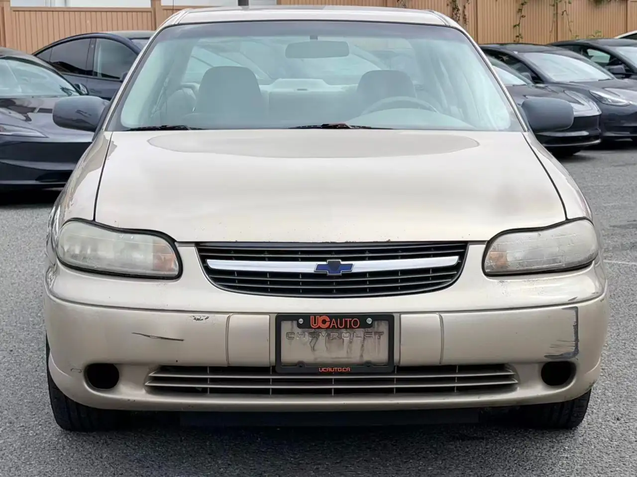 Chevrolet Malibu снимка Chevrolet Malibu