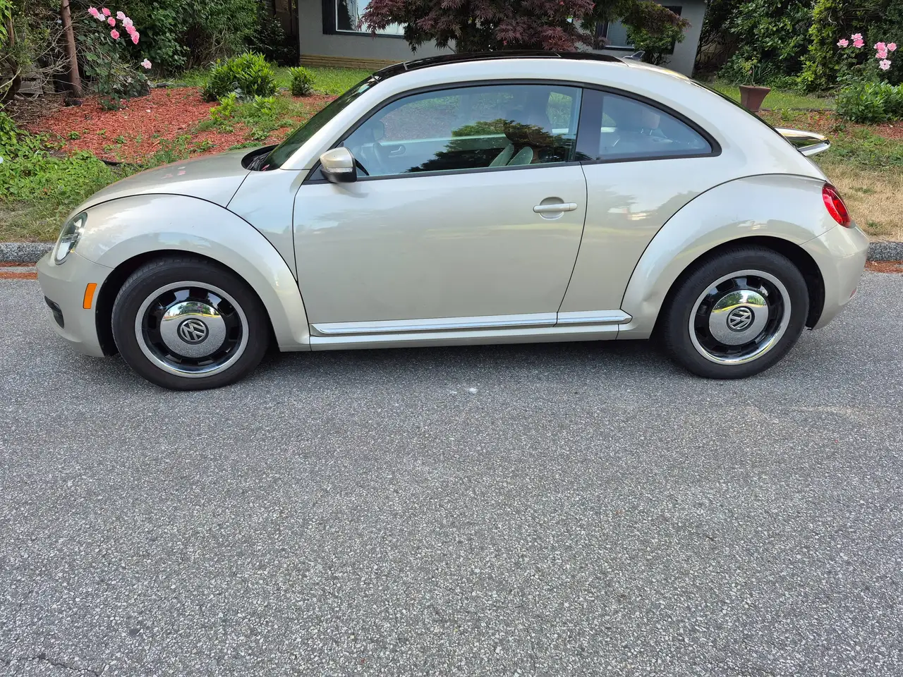 Volkswagen Beetle fotografie Volkswagen Beetle