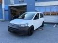 Volkswagen Caddy Entry / Erstbesitz Weiß - thumbnail 2