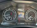 Skoda Kamiq 1.0 TSI Ambition 95 CV Bianco - thumbnail 13