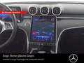 Mercedes-Benz C 300 C300 STANDHZG/LED/BUSINESS/KAMERA/LED/KEYLESS-GO Blau - thumbnail 6