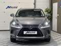 Lexus NX 300h 300h 2.5 VVT-i 16V 197 Hybrid 2WD Pack Business Grau - thumbnail 2