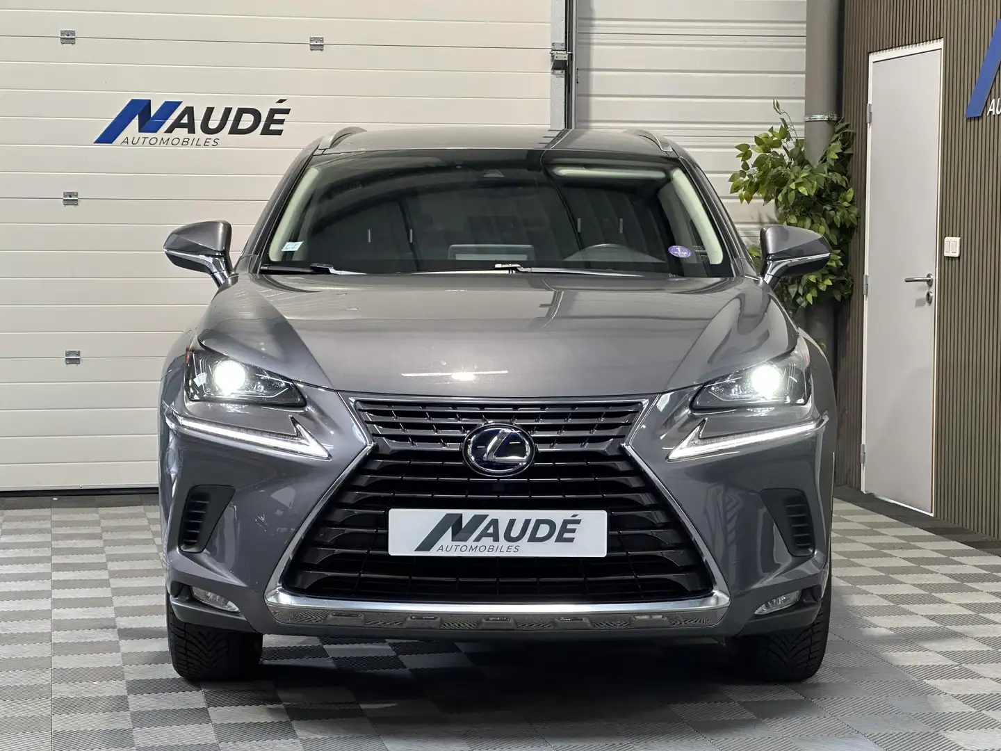 Lexus NX 300h 300h 2.5 VVT-i 16V 197 Hybrid 2WD Pack Business Grau - 2