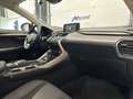 Lexus NX 300h 300h 2.5 VVT-i 16V 197 Hybrid 2WD Pack Business Grau - thumbnail 17