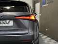 Lexus NX 300h 300h 2.5 VVT-i 16V 197 Hybrid 2WD Pack Business Grau - thumbnail 22