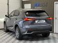 Lexus NX 300h 300h 2.5 VVT-i 16V 197 Hybrid 2WD Pack Business Grau - thumbnail 4