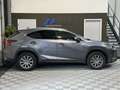 Lexus NX 300h 300h 2.5 VVT-i 16V 197 Hybrid 2WD Pack Business Grau - thumbnail 7