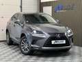 Lexus NX 300h 300h 2.5 VVT-i 16V 197 Hybrid 2WD Pack Business Grau - thumbnail 1