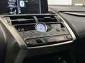 Lexus NX 300h 300h 2.5 VVT-i 16V 197 Hybrid 2WD Pack Business Grau - thumbnail 15