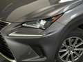 Lexus NX 300h 300h 2.5 VVT-i 16V 197 Hybrid 2WD Pack Business Grau - thumbnail 21