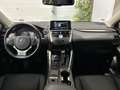 Lexus NX 300h 300h 2.5 VVT-i 16V 197 Hybrid 2WD Pack Business Grau - thumbnail 10