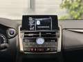 Lexus NX 300h 300h 2.5 VVT-i 16V 197 Hybrid 2WD Pack Business Grau - thumbnail 12