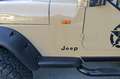 Jeep Wrangler 2,5 Sahara Soft Top ''1.Besitz'' 36.000 Km Beige - thumbnail 17
