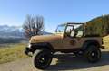 Jeep Wrangler 2,5 Sahara Soft Top ''1.Besitz'' 36.000 Km Beige - thumbnail 44