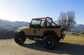 Jeep Wrangler 2,5 Sahara Soft Top ''1.Besitz'' 36.000 Km Beige - thumbnail 43