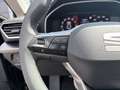 SEAT Leon Style Edition 1.5 eTSI DSG 115 PS Schwarz - thumbnail 17