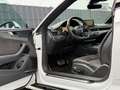 Audi RS5 Coupe 2.9 quattro/Bang&Olufsen/Head-Up/20" Weiß - thumbnail 10