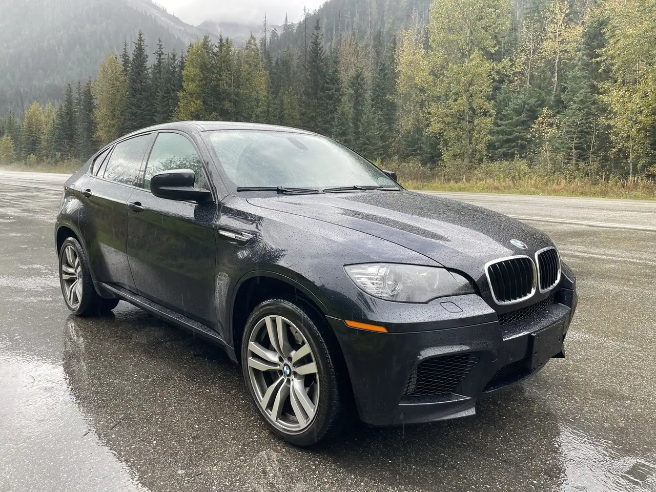 2010 BMW X6 M