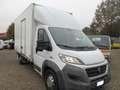 Fiat Ducato 2.3 131CV FURGONE CON PORTE POST A BATTUTA Bianco - thumbnail 3