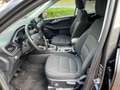 Ford Kuga Titanium Kamera Winterpaket AHK Grau - thumbnail 9