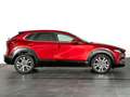 Mazda CX-30 2.0 Skyactiv-G Evolution 2WD 90kW Rot - thumbnail 3
