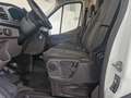 Ford Transit Transit Kasten 2,0 EcoBlue L2H2 350 Trend Weiß - thumbnail 17