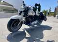 Harley-Davidson Fat Boy Escapes SS Blanco - thumbnail 3