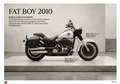Harley-Davidson Fat Boy Escapes SS Blanco - thumbnail 4