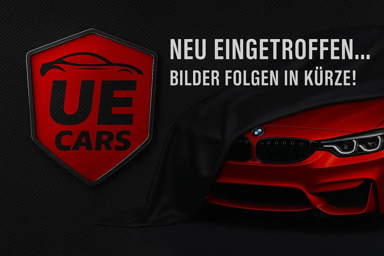 Ford Fiesta Celebration Schwarz - 1