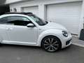 Volkswagen Beetle 2,0 TDI, Sky, R-LINE, Fender Weiß - thumbnail 11