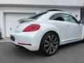 Volkswagen Beetle 2,0 TDI, Sky, R-LINE, Fender Weiß - thumbnail 13