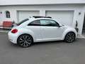 Volkswagen Beetle 2,0 TDI, Sky, R-LINE, Fender Weiß - thumbnail 1