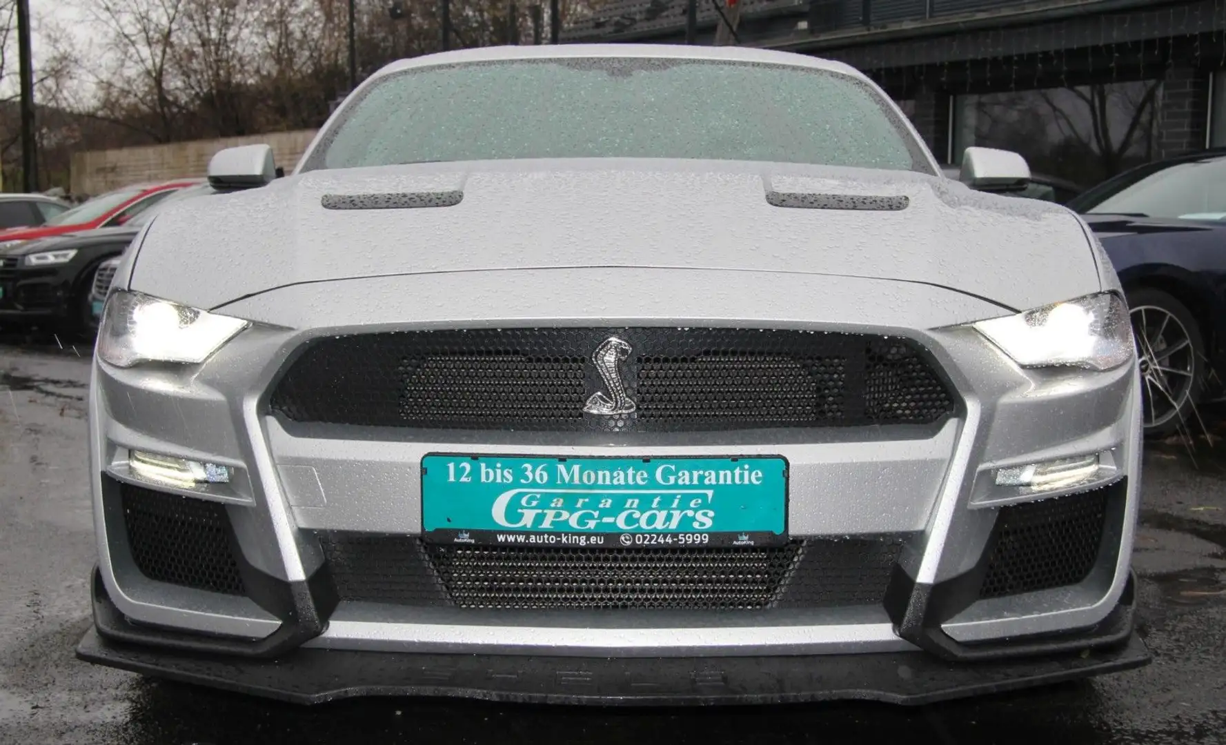 Ford Mustang 2.3 2019 Shelby|10Gang|Voll|SHZ|RFK|PDC Grau - 2
