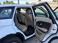 Land Rover Range Rover Evoque Range Rover Evoque 5p 2.0 td4 Pure 150cv Bianco - thumbnail 12
