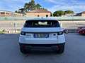 Land Rover Range Rover Evoque Range Rover Evoque 5p 2.0 td4 Pure 150cv Bianco - thumbnail 6