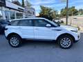 Land Rover Range Rover Evoque Range Rover Evoque 5p 2.0 td4 Pure 150cv Bianco - thumbnail 4