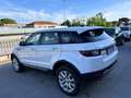 Land Rover Range Rover Evoque Range Rover Evoque 5p 2.0 td4 Pure 150cv Bianco - thumbnail 7
