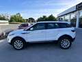 Land Rover Range Rover Evoque Range Rover Evoque 5p 2.0 td4 Pure 150cv Bianco - thumbnail 8