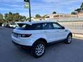 Land Rover Range Rover Evoque Range Rover Evoque 5p 2.0 td4 Pure 150cv Bianco - thumbnail 5