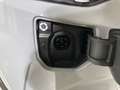 Ford Transit Custom Kasten 2,5 PHEV L1H1 320 Limited Aut. Grau - thumbnail 16