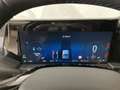 Ford Transit Custom Kasten 2,5 PHEV L1H1 320 Limited Aut. Grau - thumbnail 11