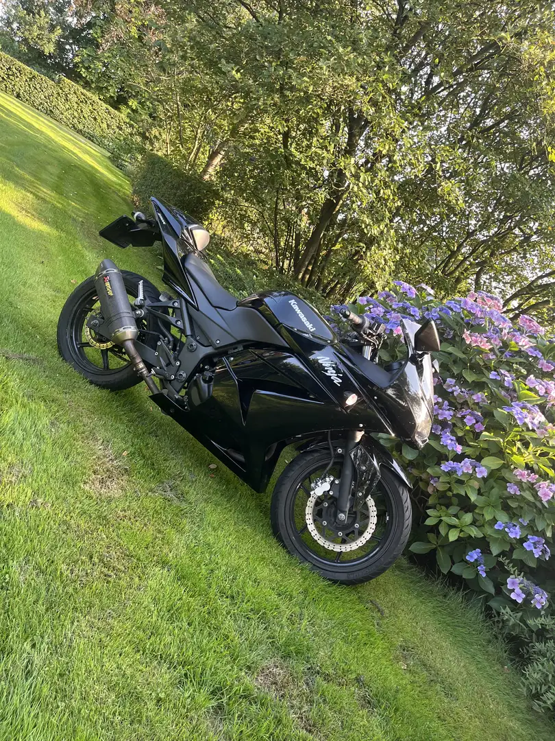 Kawasaki Ninja 250 R - 2