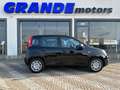 Fiat Panda Panda 1.0 firefly hybrid City Life s Nero - thumbnail 3